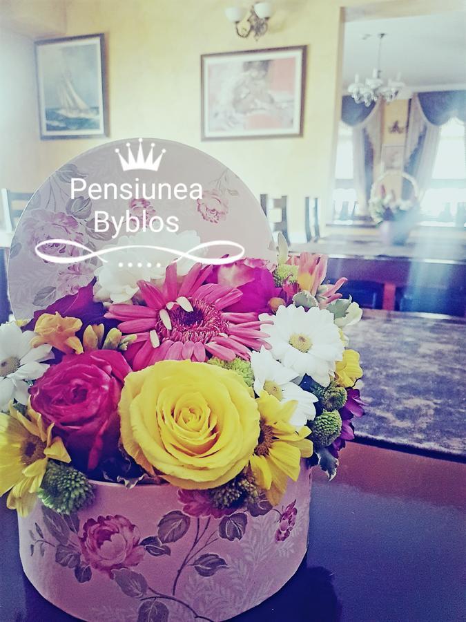 Pensiunea Byblos 피아트라네암츠 외부 사진